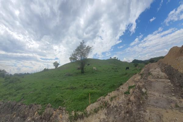 CONDOMINIO CAMPESTRE LOS ALPES (TULUA), SE VENDEN LOTES