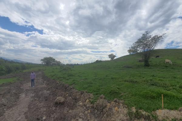 CONDOMINIO CAMPESTRE LOS ALPES (TULUA), SE VENDEN LOTES