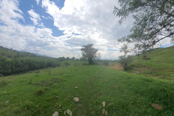 CONDOMINIO CAMPESTRE LOS ALPES (TULUA), SE VENDEN LOTES