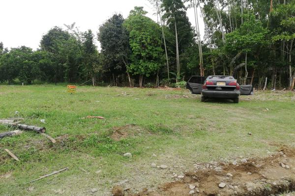 ZABALETA ANDALUCIA, SE VENDE LOTE CAMPESTRE
