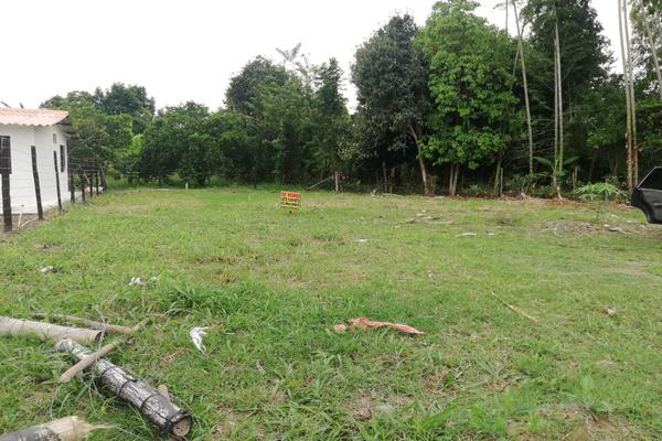 ZABALETA ANDALUCIA, SE VENDE LOTE CAMPESTRE