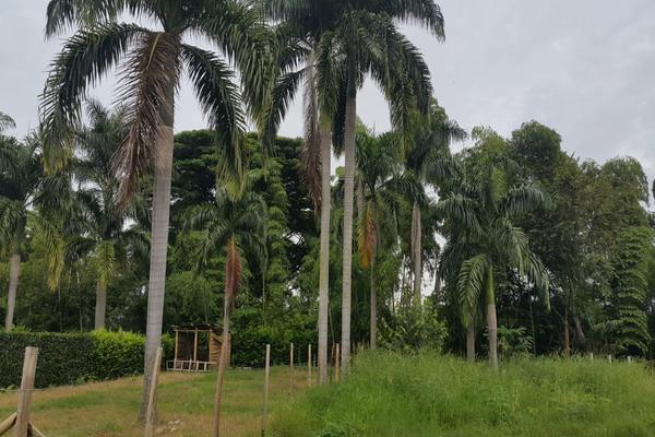 CAMPO ALEGRE TULUA, URB. EL OCASO, SE VENDE LOTE CAMPESTRE