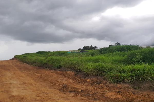 LA IBERIA BAJA, SE VENDE LOTE ESQUINERO CAMPESTRE