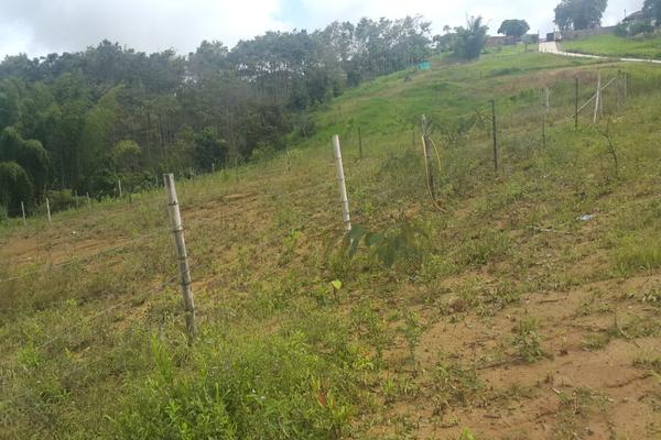 LA IBERIA BAJA, SE VENDE LOTE DENTRO DE PARCELACION CAMPESTRE