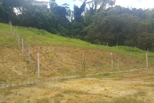 LA IBERIA BAJA, SE VENDE LOTE DENTRO DE PARCELACION CAMPESTRE