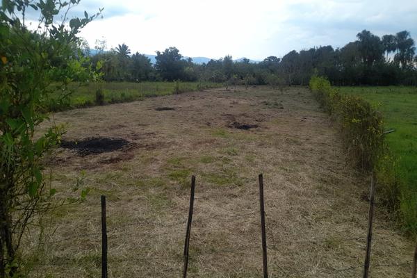 ZABALETA - ANDALUCIA, SE VENDE LOTE CAMPESTRE
