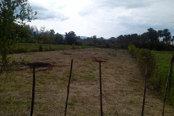 ZABALETA - ANDALUCIA, SE VENDE LOTE CAMPESTRE
