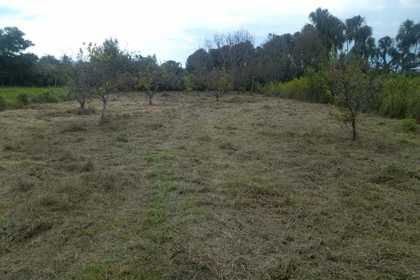 ZABALETA - ANDALUCIA, SE VENDE LOTE CAMPESTRE