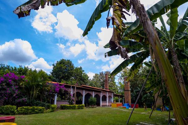 LA PALMERA, SE VENDE FINCA - TULUÁ VALLE