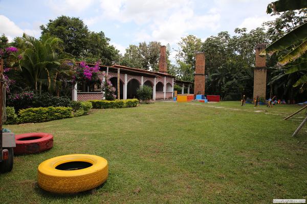 LA PALMERA, SE VENDE FINCA - TULUÁ VALLE