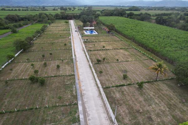 ESPECTACULARES LOTES CONJUNTO LA PALMERA
