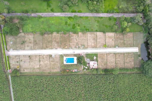 ESPECTACULARES LOTES CONJUNTO LA PALMERA