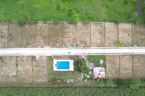 ESPECTACULARES LOTES CONJUNTO LA PALMERA