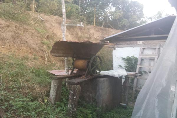 SE VENDE FINCA DE GRAN PRODUCCIÓN EN LA VEREDA EL DIAMANTE