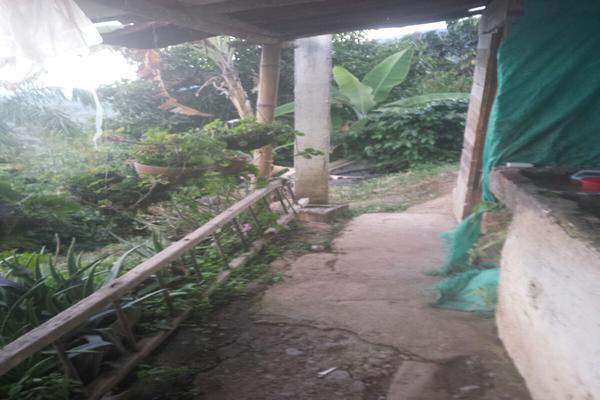 SE VENDE FINCA DE GRAN PRODUCCIÓN EN LA VEREDA EL DIAMANTE