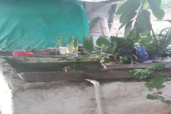 SE VENDE FINCA DE GRAN PRODUCCIÓN EN LA VEREDA EL DIAMANTE