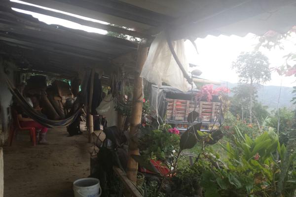 SE VENDE FINCA DE GRAN PRODUCCIÓN EN LA VEREDA EL DIAMANTE