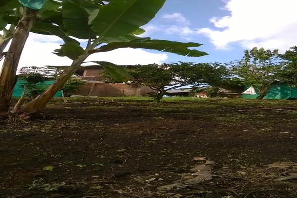 FENICIA SE VENDE FINCA DE PRODUCCIÓN